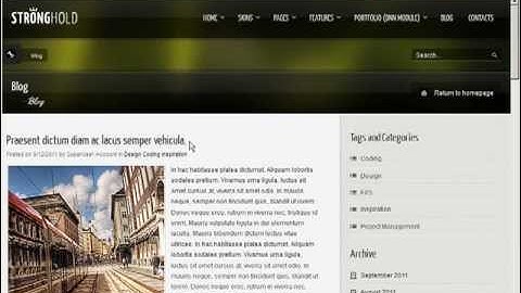 How to setup the PostIT Blog Module with the Stronghold skin in DotNetNuke - part 1/2 - Video #290