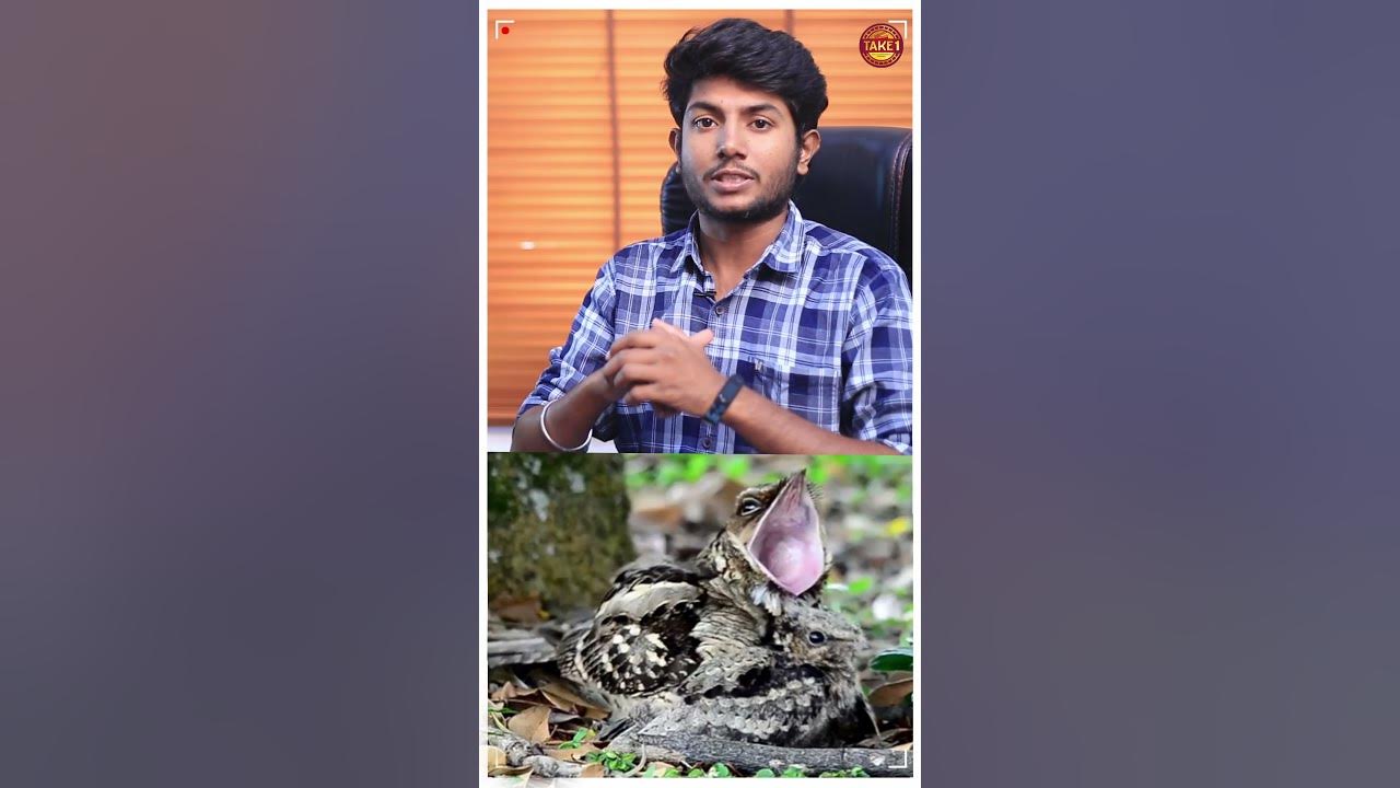 l-pakki