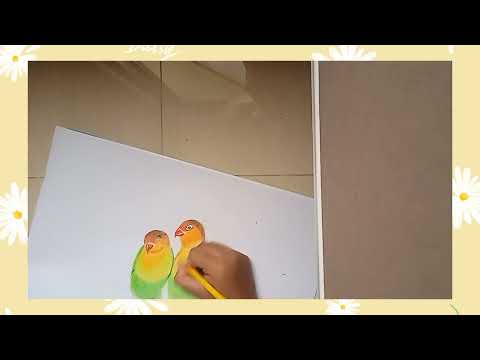 3D color realist | PTS Animasi