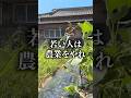 農業、正直ヤバいです。 #shorts