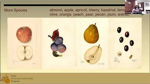 SCFS 03-11-2021 Historic Orchards with Susan Dolan