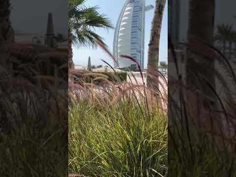 فزاع برج العرب