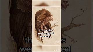 Story of harpy and king phineas #gods Story of harpy and king phineas #gods