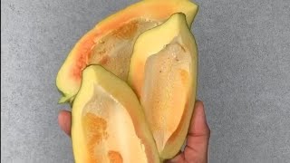 بابايا -Papaya