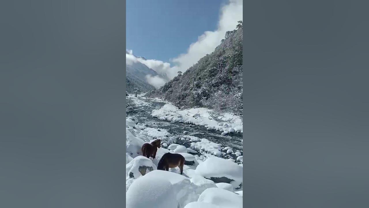 beautiful snow mountain #lyrics #music #song #speedsong #viralreels #viralvideo #mountains