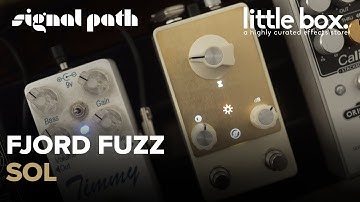Dual Fuzz + Vibe Dreams | Fjord Fuzz Sol | Full Demo