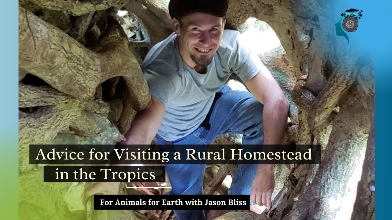 Advice for Visiting a Rural Homestead in the Tropics