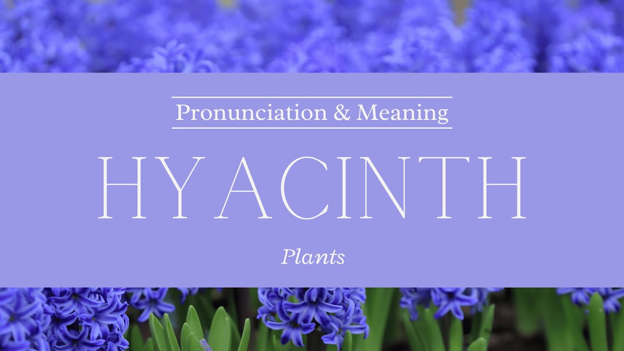 How to Pronounce: Hyacinth | British Pronunciation & Meaning - YouTube