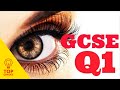 Get 100% on Paper 2 Question 1 Cambridge IGCSE Reading Paper (0522 and 0500)