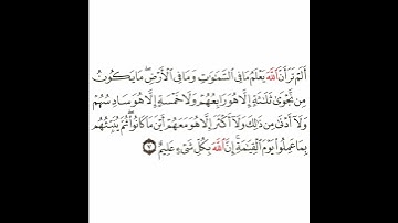 سورة المجادلة 4 القسم الرابع تكرار كيفي من .. ألم تر أن الله يعلم .. إلى .. إن الله بكل شيء عليم