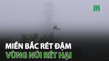Miền Bắc rét đậm, vùng núi rét hại | VTC14