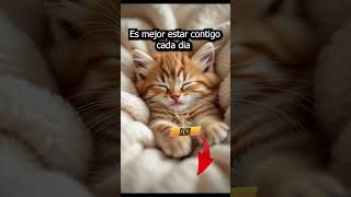 PALABRAS QUE ENAMORAN 💖 Frases Románticas que Llegan al Corazón 🌹✨