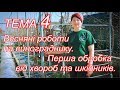 Тема 4: Весняні роботи на винограднику. Перша обробка виноградних кущів від хвороб та шкіднтків