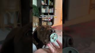 Shes Basically Co-Parenting At This Point