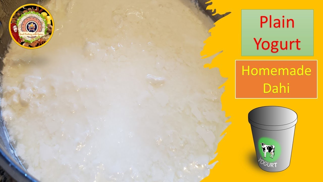 How To Make Yogurt At Home Dahi Recipe Dahi Jamane Ka Tarika