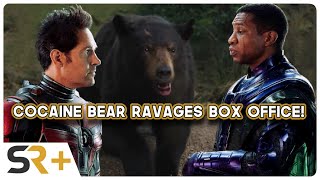 Cocaine Bear Box Office Came Dangerously Close To Taking From MCU