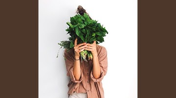 Alluring Backdrops for Lunch