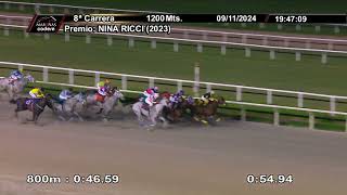 Vidéo de la course PMU PRIX NINA RICCI (2023)