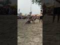 जबरदस्त कुश्ती मुकाबला 💪💪 #shorts #viral #trending #kusti #funny