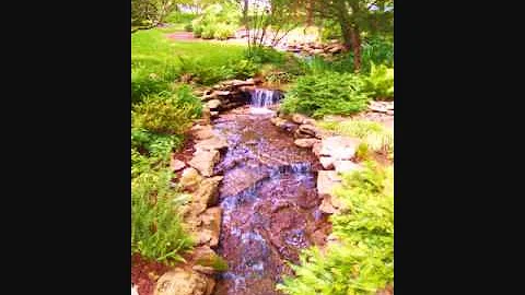 Dance of Dreams by Peggy Leyva Conley.wmv