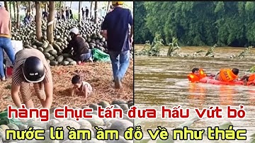 Hàng chục tấn dưa hấu bị bỏ lại vườn, nước lũ ầm ầm đổ về như thác" Xót xa cảnh nông dân trắng tay