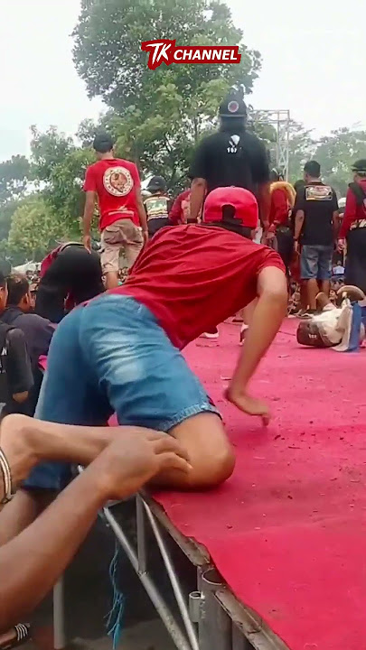 Detik Banteng Suro Ngamuk Turun Pentas Mayangkoro Original Nyari Geger #shorts #banteng #ngamuk
