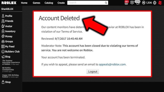 Someone changed my Roblox password?! : r/adoptmeroblox