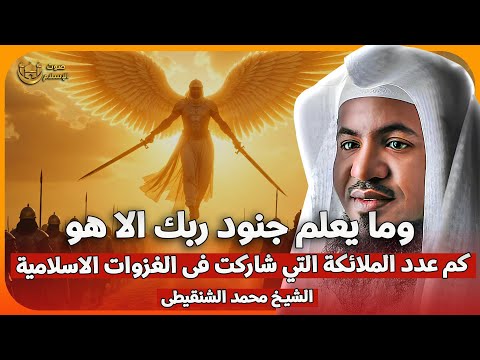 الشيخ محمد الشنقيطي كم عدد الملائكه التي شاركت فى الحروب والغزوات الاسلامية الشيخ محمد الشنقيطي كم عدد الملائكه التي شاركت فى الحروب والغزوات الاسلامية
