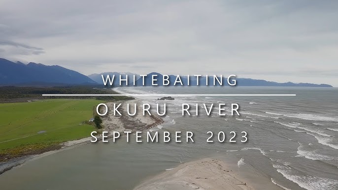 Whitebaiting the Okuru River (Haast) - October 2021 (044) 