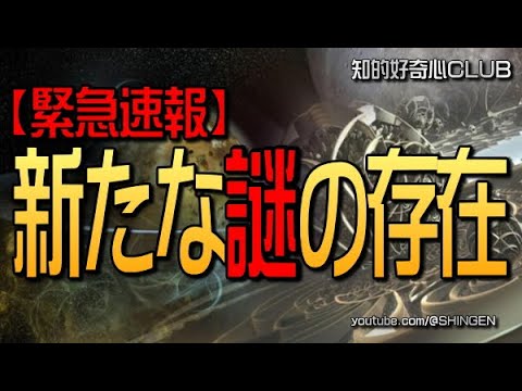 【緊急速報】新たな謎の存在