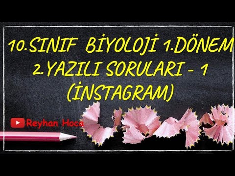 10. Sınıf Biyoloji 1. Dönem 2. Yazılıya Hazırlık Soru Çözümü - 1