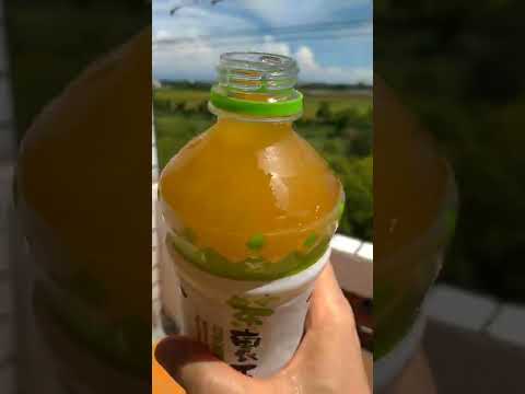 4081644【茶裏王】日式無糖綠茶600mlx4入/組