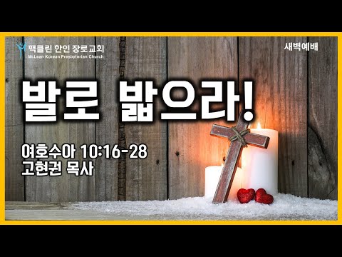 발로 밟으라! 썸네일