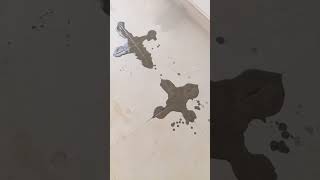 Basement construction #timeline #basement #foundation #construction #bricks #shorts #trending