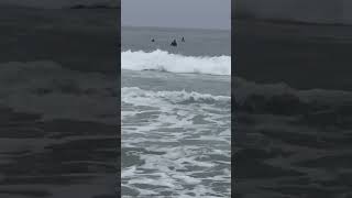 San Diego California surfers #surfers #sandiego #california 