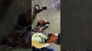 IMG 0218 MOV