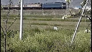 JR 信越本線　碓氷峠　EF62,EF63　眼鏡橋碓氷川橋梁を行く 1997/4/12~ -4