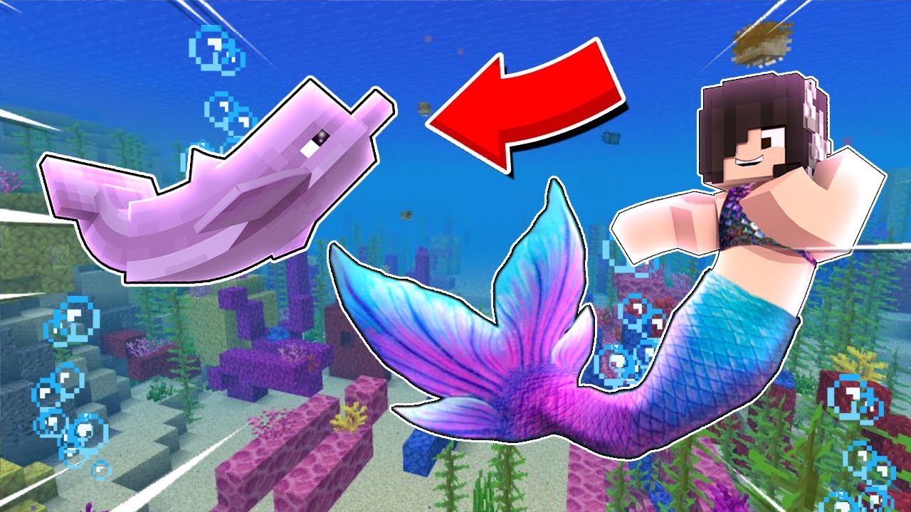 amandinha minecraft sereia