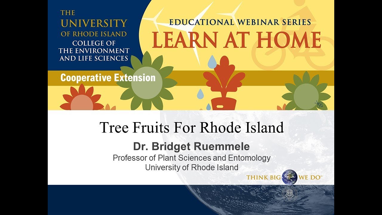 Tree Fruits for Rhode Island