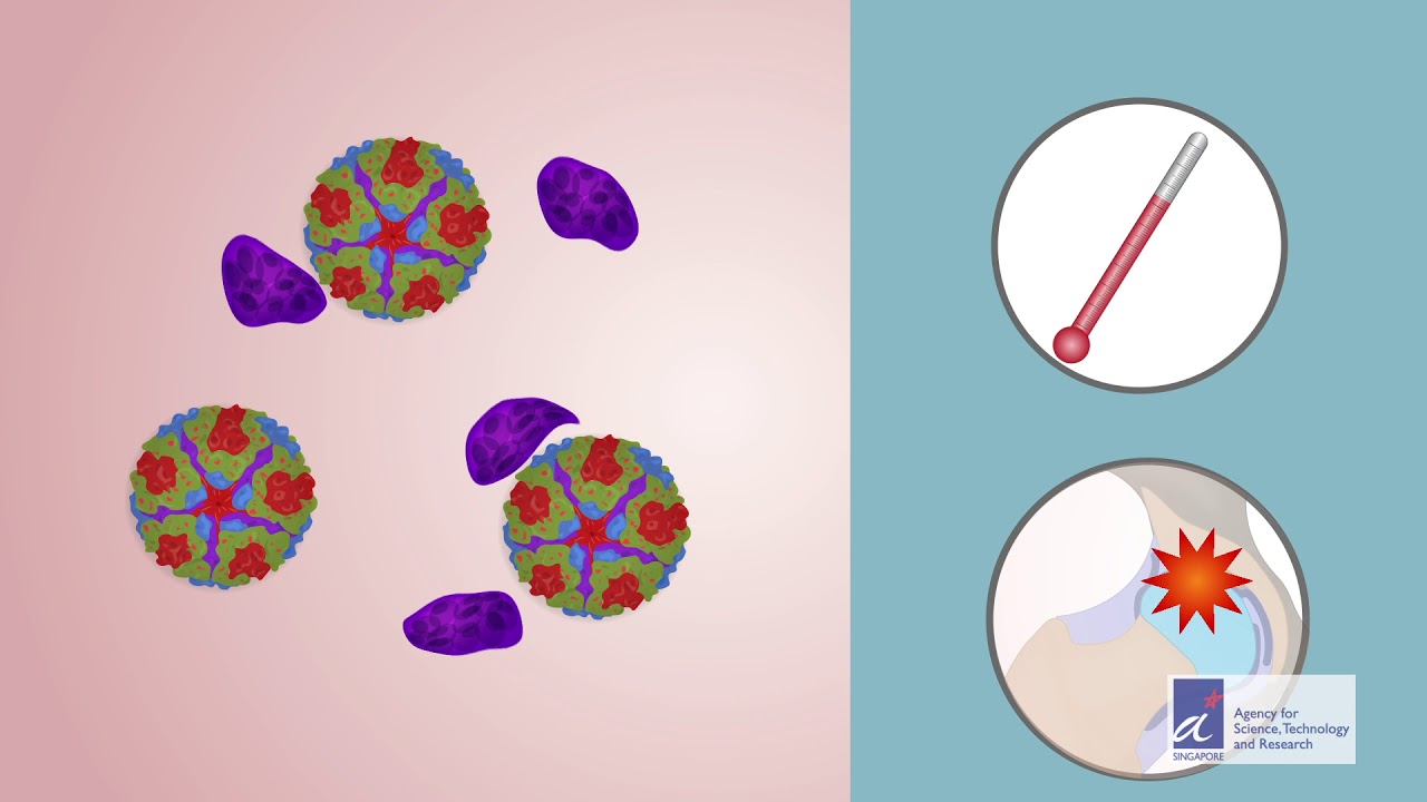 The coincidental complications of coinfection