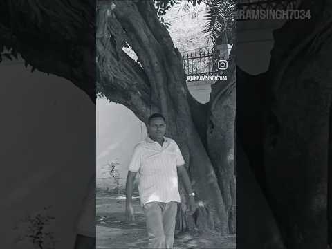 bechan meri dhadkan #dance #lifeisbutadream #tereliyehumhaijiye