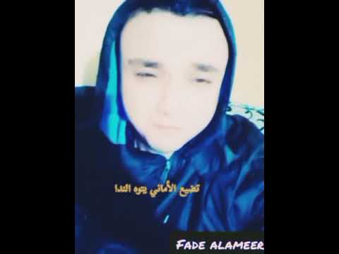 مصطفى كامل نصيبي