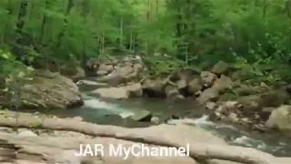 JAR... Calming MUSIC with Nature background. screenshot 4