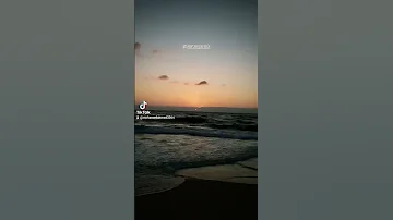 البوصلة ضاعت في المحيط 