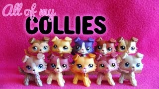 all lps collies
