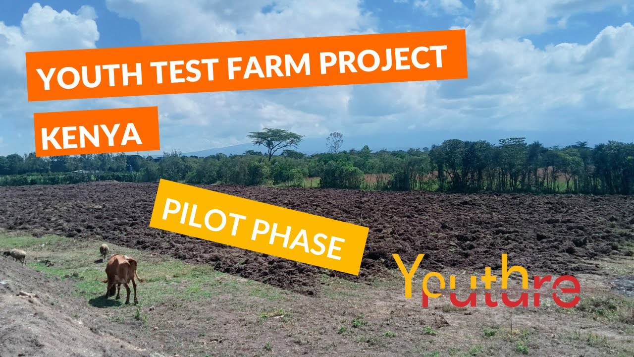 Kiahuko Youth Test Farm - Pilot Phase