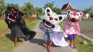 Barongan tutul jenggoten dan pink jalan jalan