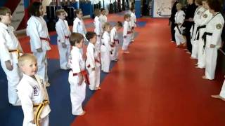 ATA Family Martial Arts Centennial-Karate for Kids & Tiny Tigers-Focus-Discipline