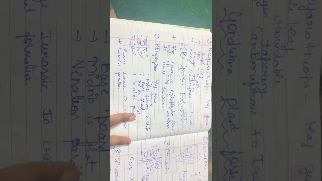 Gondwana flora | Gondwana plant fossil | MSc BSc topic