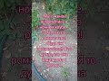 Не романтичная встреча #анекдоты #приколы #мемы